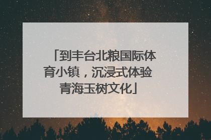 到丰台北粮国际体育小镇，沉浸式体验青海玉树文化