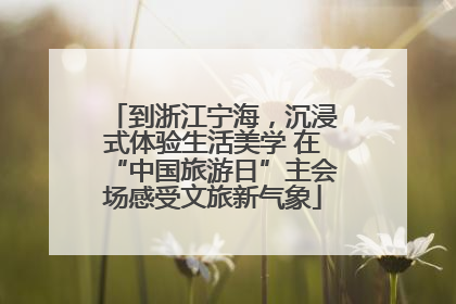 到浙江宁海，沉浸式体验生活美学 在“中国旅游日”主会场感受文旅新气象