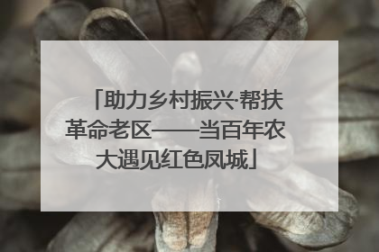 助力乡村振兴·帮扶革命老区——当百年农大遇见红色凤城
