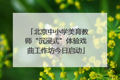 北京中小学美育教师“沉浸式”体验戏曲工作坊今日启动