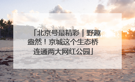 北京号最精彩｜野趣盎然！京城这个生态桥连通两大网红公园