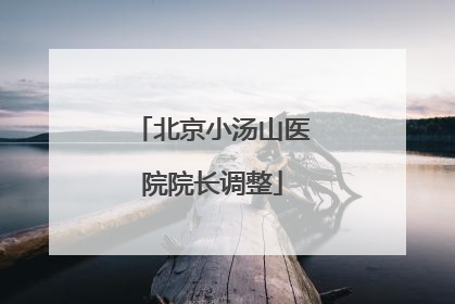 北京小汤山医院院长调整