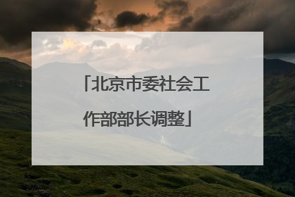 北京市委社会工作部部长调整
