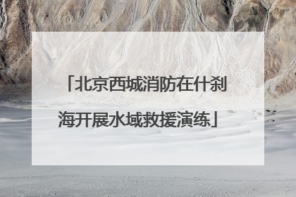 北京西城消防在什刹海开展水域救援演练