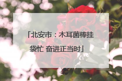 北安市：木耳菌棒挂袋忙 奋进正当时