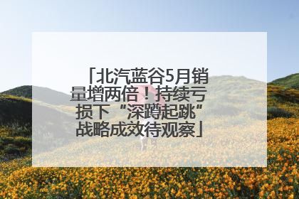 北汽蓝谷5月销量增两倍！持续亏损下“深蹲起跳”战略成效待观察