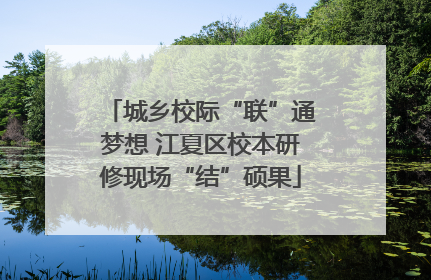 城乡校际“联”通梦想 江夏区校本研修现场“结”硕果
