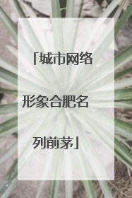 城市网络形象合肥名列前茅