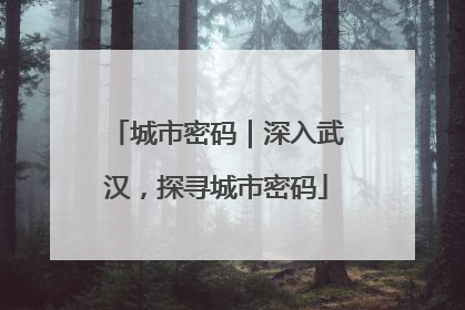城市密码｜深入武汉，探寻城市密码