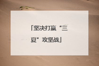 坚决打赢“三夏”攻坚战