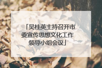 吴桂英主持召开市委宣传思想文化工作领导小组会议