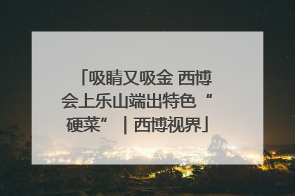 吸睛又吸金 西博会上乐山端出特色“硬菜”｜西博视界