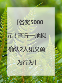 各奖5000元！商丘一地拟确认2人见义勇为行为