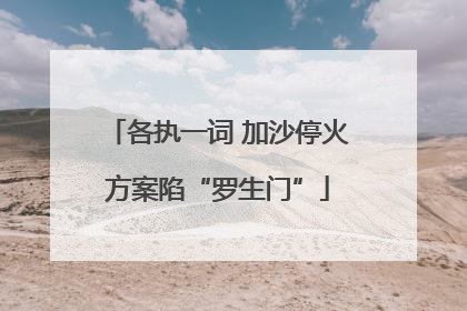 各执一词 加沙停火方案陷“罗生门”