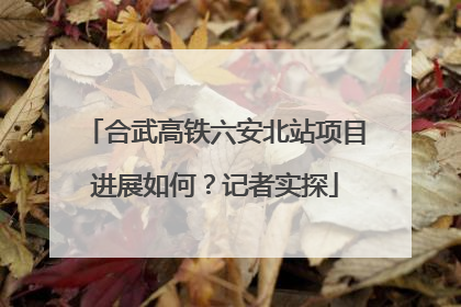 合武高铁六安北站项目进展如何？记者实探