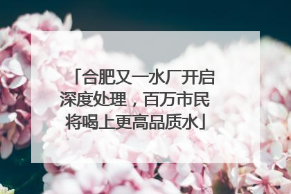 合肥又一水厂开启深度处理，百万市民将喝上更高品质水