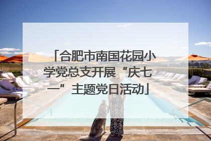 合肥市南国花园小学党总支开展“庆七一”主题党日活动