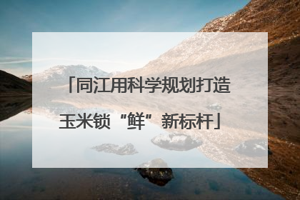 同江用科学规划打造玉米锁“鲜”新标杆