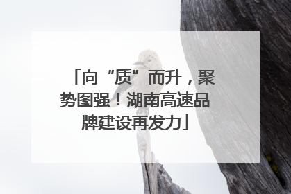 向“质”而升，聚势图强！湖南高速品牌建设再发力