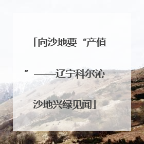 向沙地要“产值”——辽宁科尔沁沙地兴绿见闻
