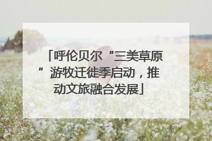 呼伦贝尔“三美草原”游牧迁徙季启动，推动文旅融合发展