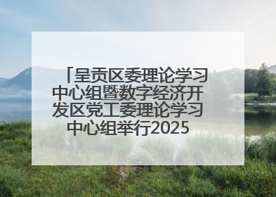 呈贡区委理论学习中心组暨数字经济开发区党工委理论学习中心组举行2025年第七次学习会议