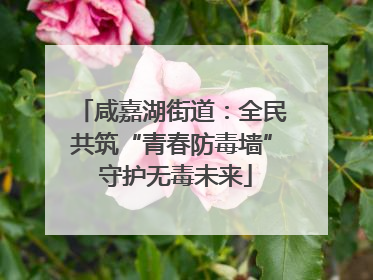 咸嘉湖街道：全民共筑“青春防毒墙” 守护无毒未来