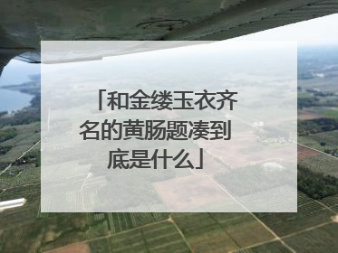 和金缕玉衣齐名的黄肠题凑到底是什么