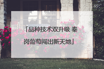 品种技术双升级 秦岗葡萄闯出新天地