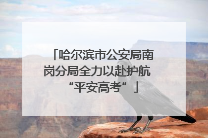 哈尔滨市公安局南岗分局全力以赴护航“平安高考”