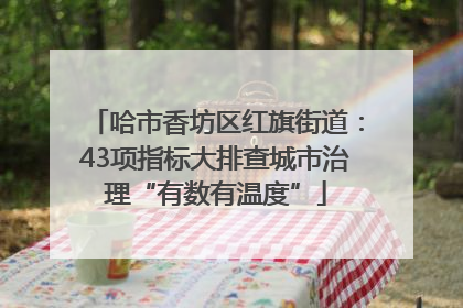 哈市香坊区红旗街道：43项指标大排查城市治理“有数有温度”