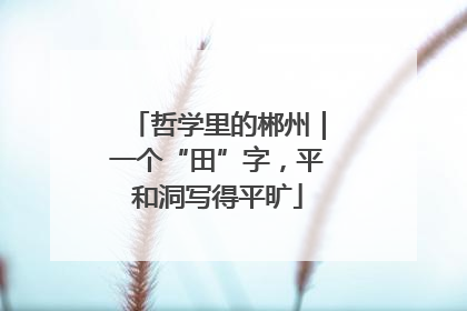 哲学里的郴州｜一个“田”字，平和洞写得平旷