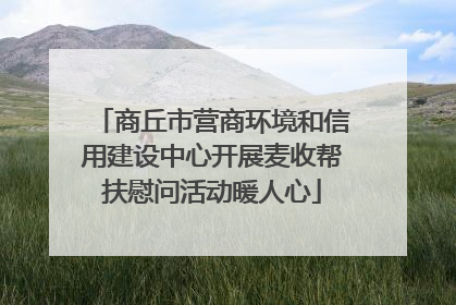 商丘市营商环境和信用建设中心开展麦收帮扶慰问活动暖人心