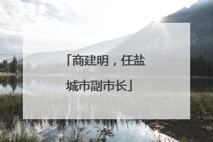 商建明，任盐城市副市长