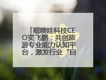 嗯噢哇科技CEO窦飞鹏：共创旅游专业能力认知平台，激发行业“自生长”力量
