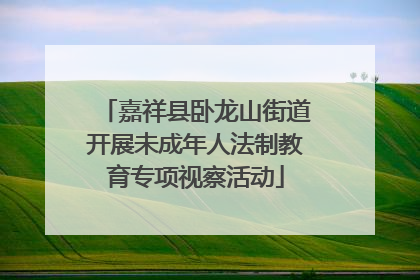 嘉祥县卧龙山街道开展未成年人法制教育专项视察活动