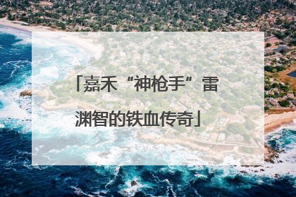 嘉禾“神枪手”雷渊智的铁血传奇
