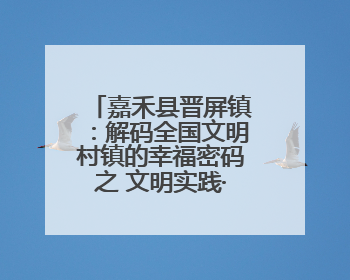 嘉禾县晋屏镇：解码全国文明村镇的幸福密码之 文明实践·村镇答卷