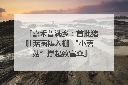 嘉禾普满乡：首批猪肚菇菌棒入棚 “小蘑菇”撑起致富伞