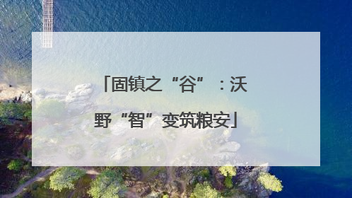 固镇之“谷”：沃野“智”变筑粮安