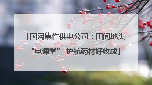 国网焦作供电公司：田间地头“电课堂” 护航药材好收成