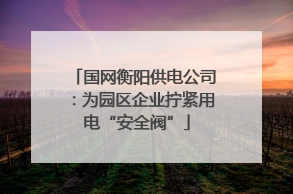 国网衡阳供电公司：为园区企业拧紧用电“安全阀”
