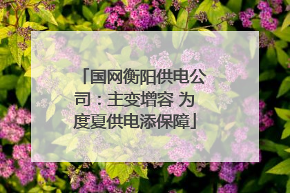 国网衡阳供电公司：主变增容 为度夏供电添保障