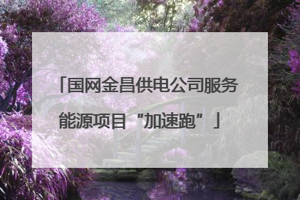 国网金昌供电公司服务能源项目“加速跑”