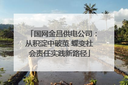 国网金昌供电公司：从积淀中破茧 蝶变社会责任实践新路径