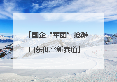 国企“军团”抢滩山东低空新赛道