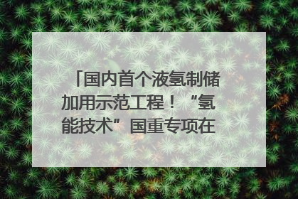 国内首个液氢制储加用示范工程！“氢能技术”国重专项在四川南充启动｜打赢经济发展翻身仗