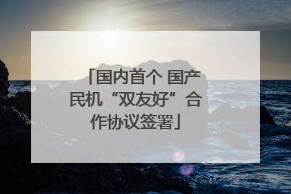 国内首个 国产民机“双友好”合作协议签署