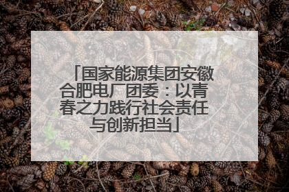 国家能源集团安徽合肥电厂团委：以青春之力践行社会责任与创新担当