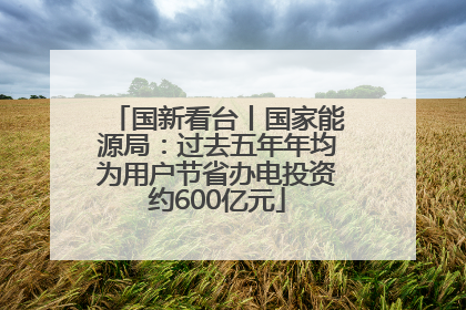 国新看台丨国家能源局：过去五年年均为用户节省办电投资约600亿元
